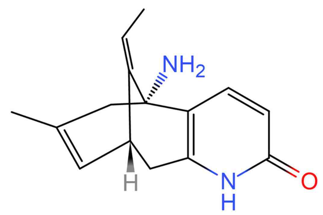 Huperzine A, một alkaloid loại pyridine có nguồn gốc từ cây Huperzia serrata (Thạch tùng Răng cưa)