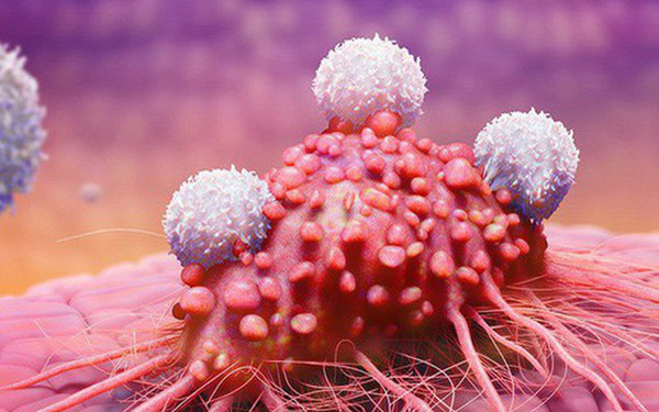 Báo cáo kết quả nghiên cứu thử độc tính hai chế phẩm thuốc Arklung 01-saman và Arklung 02- saman trên các dòng tế bào ung thư