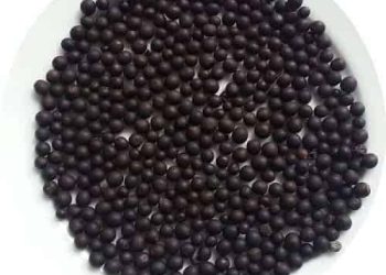 Dong riềng đỏ với bệnh mạch vành có thực sự hiệu quả