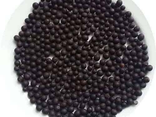 Dong riềng đỏ với bệnh mạch vành có thực sự hiệu quả