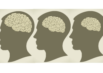 Bệnh teo não và hướng phòng tránh