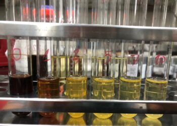 BÁO CÁO HPLC NƯỚC SÚC MIỆNG SAMAN SAU KHI KHỬ MÀU