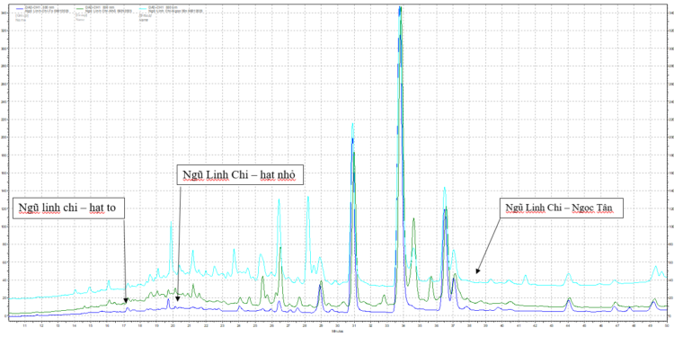 BÁO CÁO SƠ BỘ SO SÁNH 3 LOẠI NGŨ LINH CHI