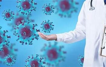 Vi rút HPV gây bệnh cho người