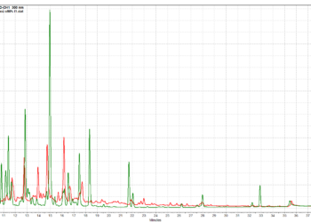 BÁO CÁO THÂN LÁ CỦ ẤU