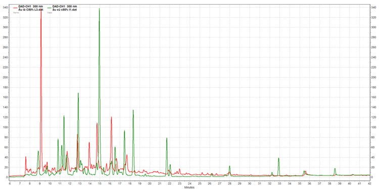 BÁO CÁO THÂN LÁ CỦ ẤU