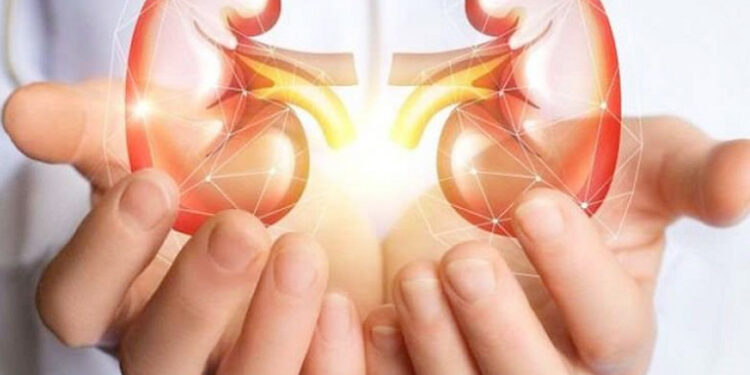 Điều trị suy thận mạn giai đoạn bảo tồn bằng phương pháp đông tây y kết hợp