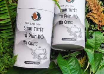 TRÀ SHAN TUYẾT TẢ PHÌN HỒ – HÀ GIANG