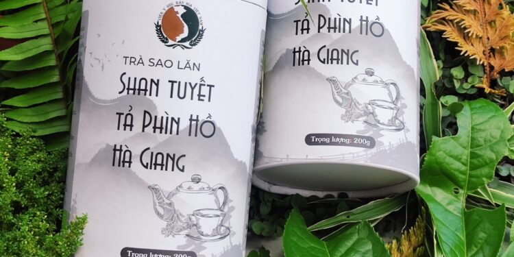 TRÀ SHAN TUYẾT TẢ PHÌN HỒ – HÀ GIANG