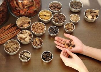 Thuốc đông y bảo vệ người bị tăng huyết áp