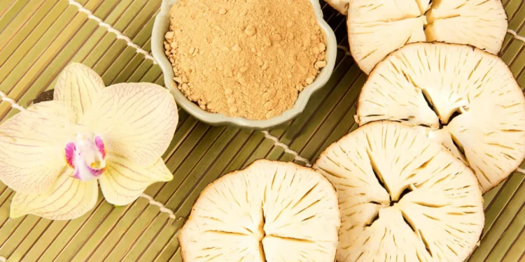 Báo cáo nghiên cứu dung môi chiết xuất Phytoestrogen trong sâm Tố Nữ