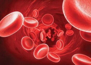 Rối loạn hàm lượng Kali máu ảnh hưởng đến Thận và cơ thể người thế nào