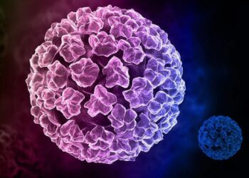 Vi rút HPV gây bệnh cho người