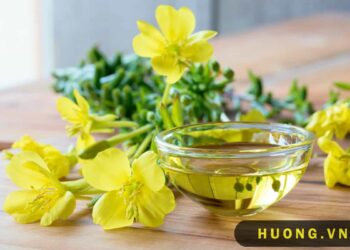 Dầu Hoa Anh thảo với phụ nữ