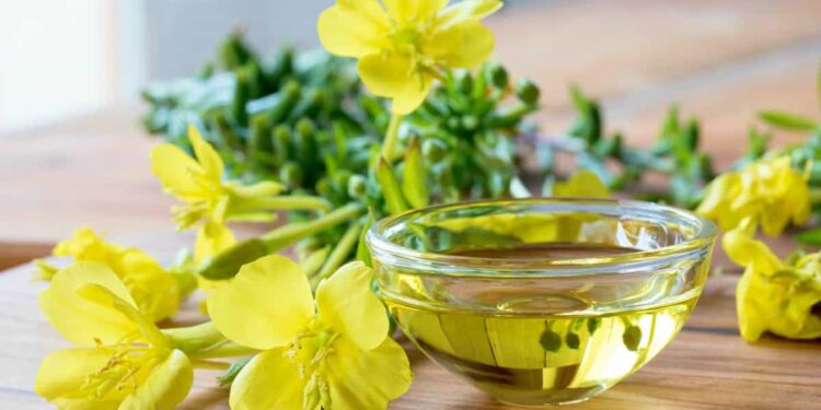 Dầu Hoa Anh thảo với phụ nữ