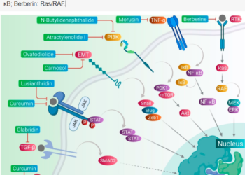 Tế bào gốc ung thư (Phần 3)