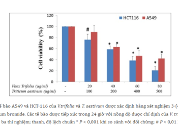 Tế Bào Gốc Ung Thư (P4)