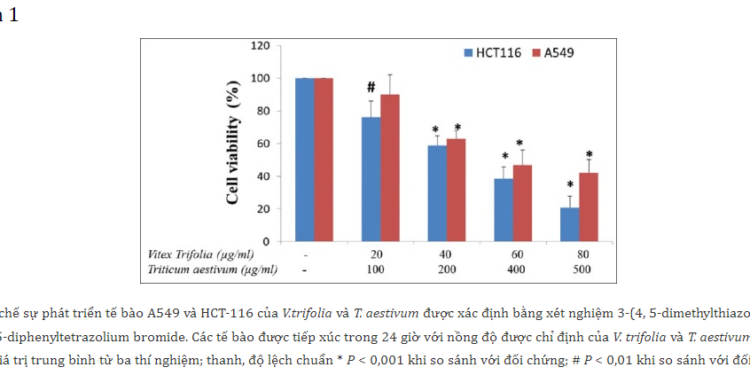 Tế Bào Gốc Ung Thư (P4)