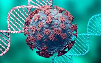 Biến thể SARS-COV-2