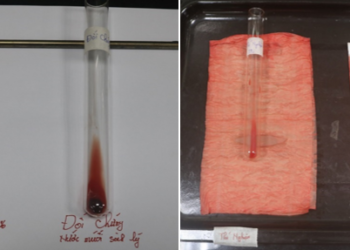 BÁO CÁO THÍ NGHIỆM TÁC DỤNG CHỐNG ĐÔNG MÁU “YÊN CUNG TĨNH TÂM ĐAN”