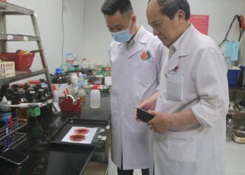 BÁO CÁO THÍ NGHIỆM  TÁC DỤNG HÒA TAN CỤC MÁU ĐÔNG “YÊN CUNG TĨNH TÂM ĐAN”