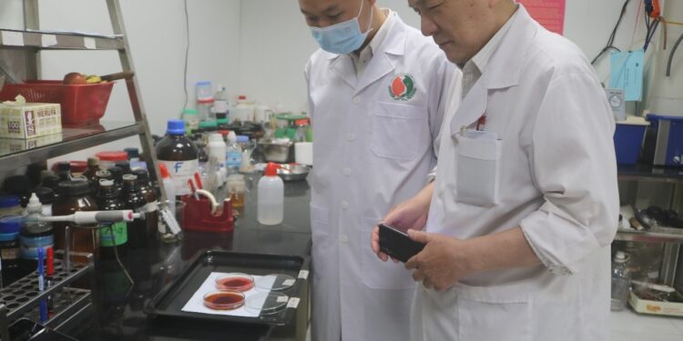 BÁO CÁO THÍ NGHIỆM TÁC DỤNG HÒA TAN CỤC MÁU ĐÔNG “YÊN CUNG TĨNH TÂM ĐAN”