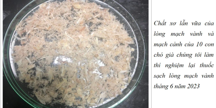 Thảo dược với hẹp mạch vành theo dòng thời gian