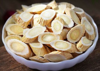 Hoàng kỳ – Vị thuốc chống di căn của tế bào ung thư đại trực tràng