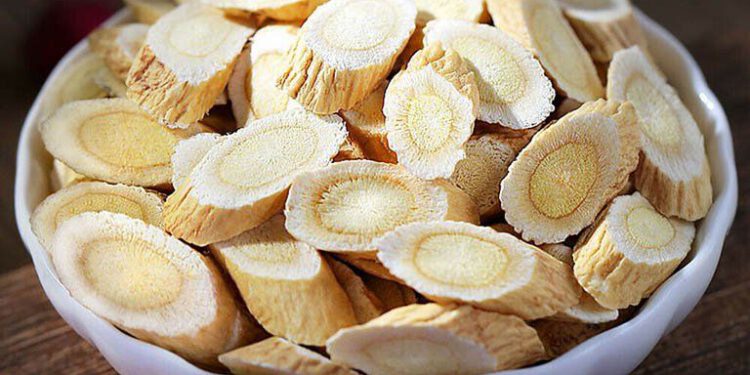 Hoàng kỳ – Vị thuốc chống di căn của tế bào ung thư đại trực tràng