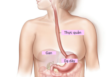 Thuốc Nam trong hỗ trợ điều trị ung thư thực quản