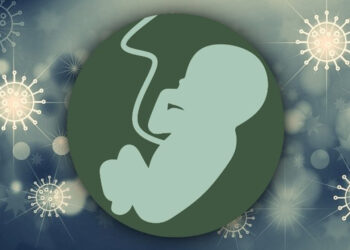 Nhiễm virus trong thai kỳ và bệnh tâm thần phân liệt: Cơ chế kích hoạt miễn dịch của mẹ và bằng chứng lâm sàng