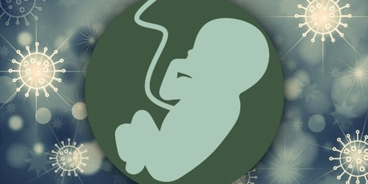 Nhiễm virus trong thai kỳ và bệnh tâm thần phân liệt: Cơ chế kích hoạt miễn dịch của mẹ và bằng chứng lâm sàng