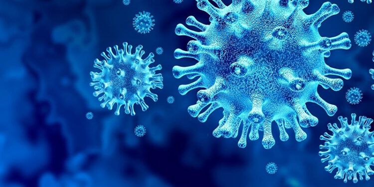 Virus hướng thần kinh và bệnh động kinh: Phân biệt nguyên phát và mắc phải