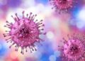 Human Cytomegalovirus và bệnh Xơ cứng bì hệ thống: Cơ chế bắt chước phân tử và vai trò trong bệnh sinh tự miễn