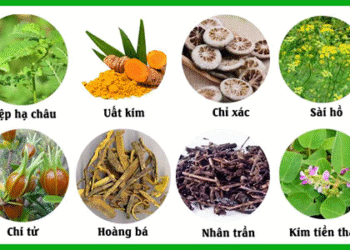 THUỐC NAM CHỮA UNG THƯ – VÌ SAO HIỆU QUẢ CÒN THẤP?