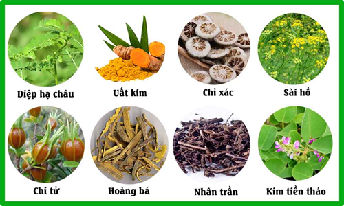 THUỐC NAM CHỮA UNG THƯ – VÌ SAO HIỆU QUẢ CÒN THẤP?