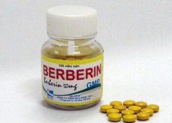 BERBERIN – THÊM MỘT CÁCH TIẾP CẬN VÀO TẾ BÀO GỐC UNG THƯ