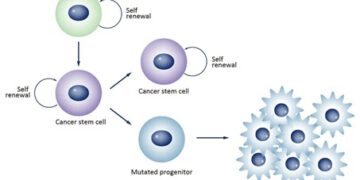 TẾ BÀO GỐC UNG THƯ MỚI LÀ MỤC TIÊU ĐIỀU TRỊ SỐ MỘT (Cập nhật)