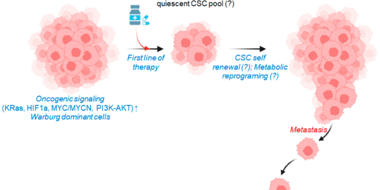 Thuốc đích trong điều trị ung thư – câu chuyện về chìa khóa và ổ khóa