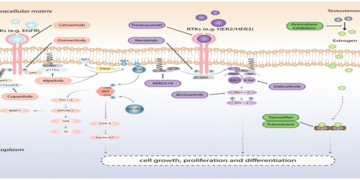 Bệnh Ung thư, là câu chuyện về những tế bào nghe lệnh sai.