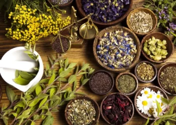 Ung thư: Giảm đa kháng trị (MDR) phác đồ kết hợp cây dược liệu