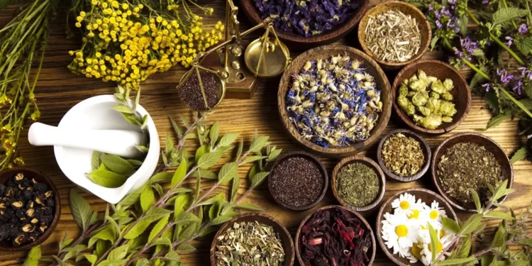 Ung thư: Giảm đa kháng trị (MDR) phác đồ kết hợp cây dược liệu