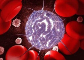 Ung thư hệ huyết học: Phân loại theo dòng tế bào ác tính, logic sinh học và chiến lược điều trị hiện đại