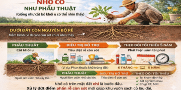Vì sao 2–3 năm đầu sau điều trị ung thư là giai đoạn cần theo dõi sát?