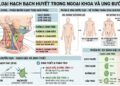 Hệ thống phân loại hạch trong ngoại khoa và ung bướu học
