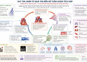 Suy tim: Xét từ cái bơm trung tâm đến hệ tuần hoàn tích hợp