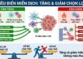 Nhị Hoàng Xuyên Hương: Điều biến miễn dịch từ Nấm hương, Hoàng kỳ, Hoàng cầm và Xuyên tâm liên với sức khỏe người ung thư